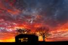 Old abandoned Kentucky tobacco barn at sunrise, near Lexington, Kentucky Art Print